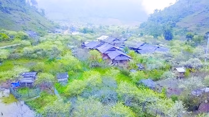 xuan ve tren cong troi sa pa xu nghe hinh 2