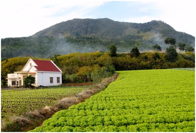 mua da quy da lat hinh 10