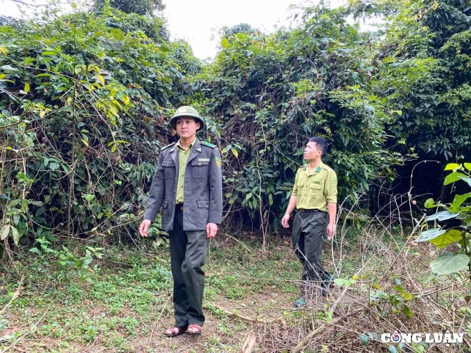 tet cua nhung nguoi giu rung hinh 1