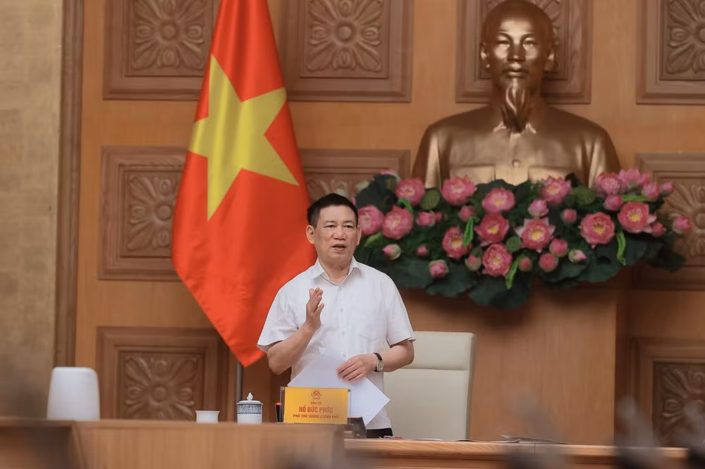 Phó Thủ tướng Hồ Đức Phớc: Tập trung quản lý, điều hành giá hiệu quả để thúc đẩy tăng trưởng- Ảnh 2.
