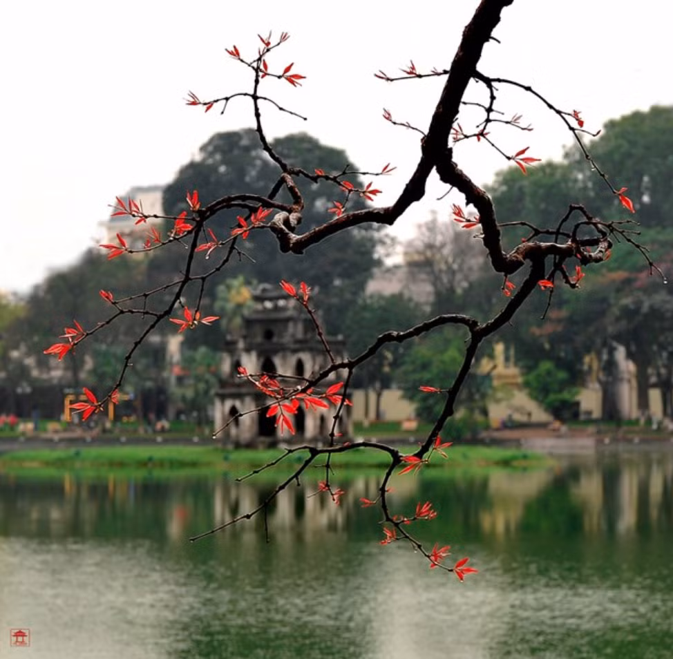 Ảnh màn hình 2025-08-03 lúc 06.12.14