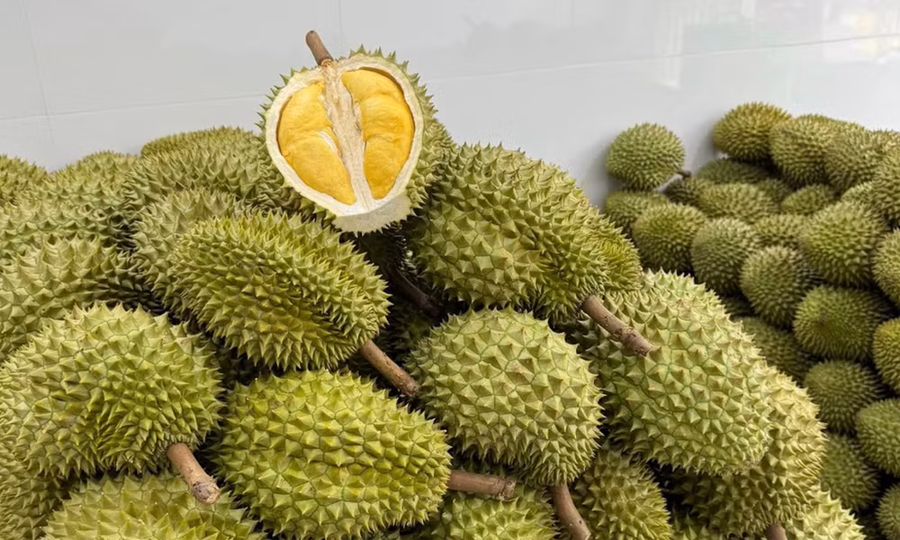 Giá sầu riêng hôm nay 3/8: Thái VIP cán mốc 90.000 đồng/kg