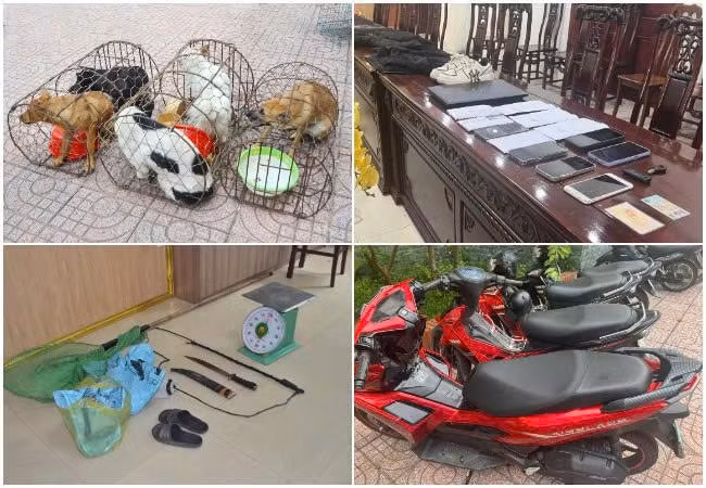 Tang vật bị thu giữ