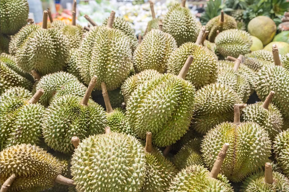 z6872159307907_7e80047f72d687f6b1fea5c0138a7ae0.jpg