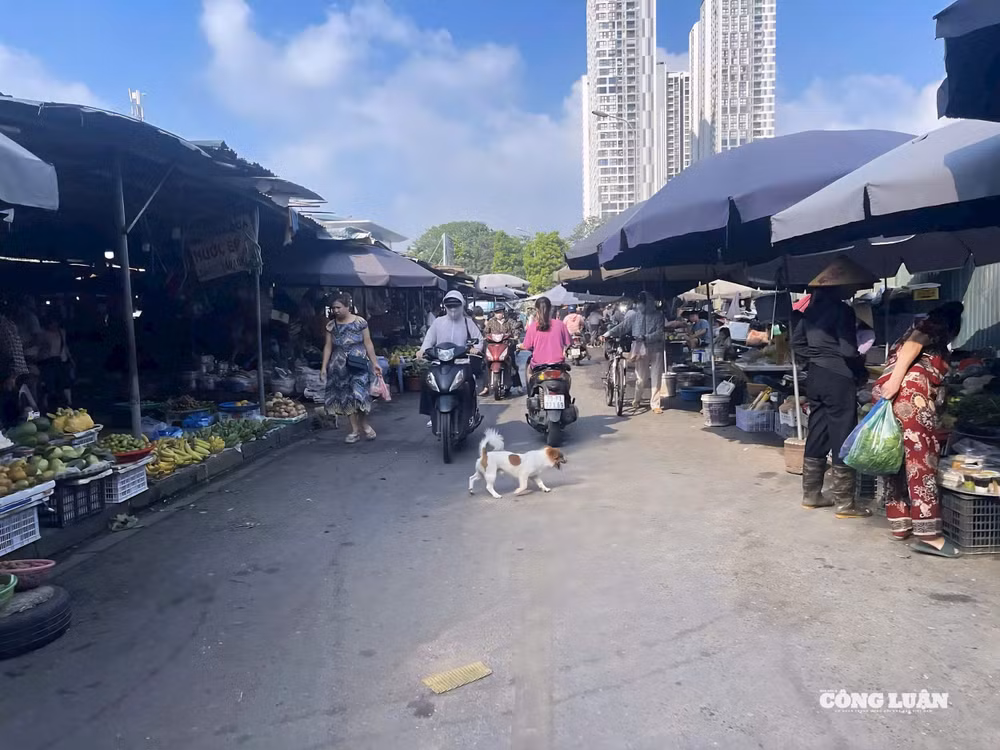 Theo Sở Công Thương, thành phố hiện có 85 chợ cóc, chợ tạm hoạt động không chịu sự quản lý của các cơ quan chức năng. Tình trạng này gây ra nhiều hệ lụy về an toàn thực phẩm, vệ sinh môi trường và trật tự đô thị, nhưng việc xử lý dứt điểm vẫn còn chậm trễ.