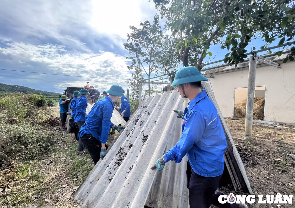 tuoi tre ha tinh gop phan day nhanh tien do cong trinh duong day 500kv mach 3 hinh 5