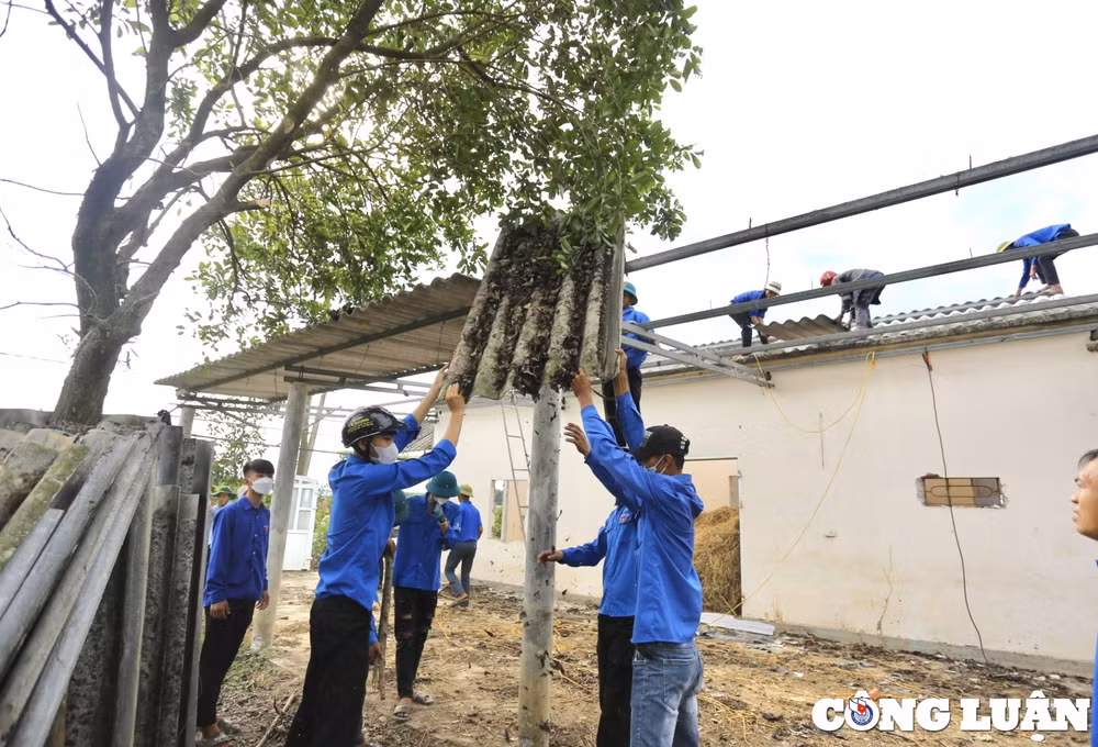 tuoi tre ha tinh gop phan day nhanh tien do cong trinh duong day 500kv mach 3 hinh 4