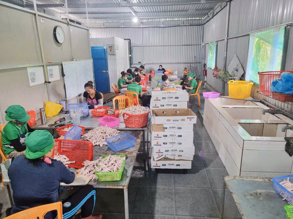 quang binh phat hien xuong san xuat chan ga nhap lau khung luon cua dong then cai hinh 2