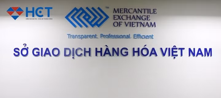 hoat dong mua ban qua so giao dich hang hoa cam tao ra cung cau gia tao hinh 1