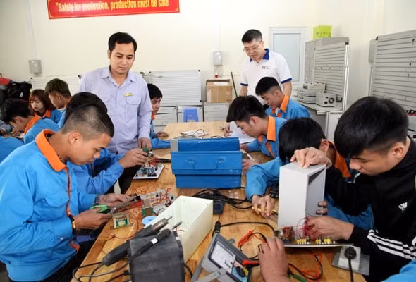 nhieu diem moi ve chuan chuyen mon nghiep vu cua nha giao giao duc nghe nghiep hinh 1