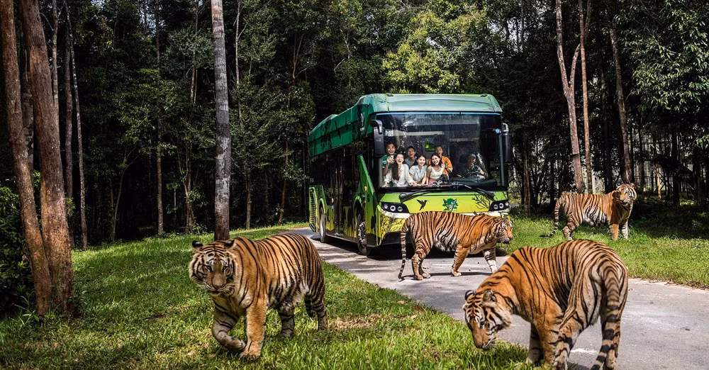 dong vat quy hiem duoc cuu ho don tim du khach tai vinpearl safari hinh 3