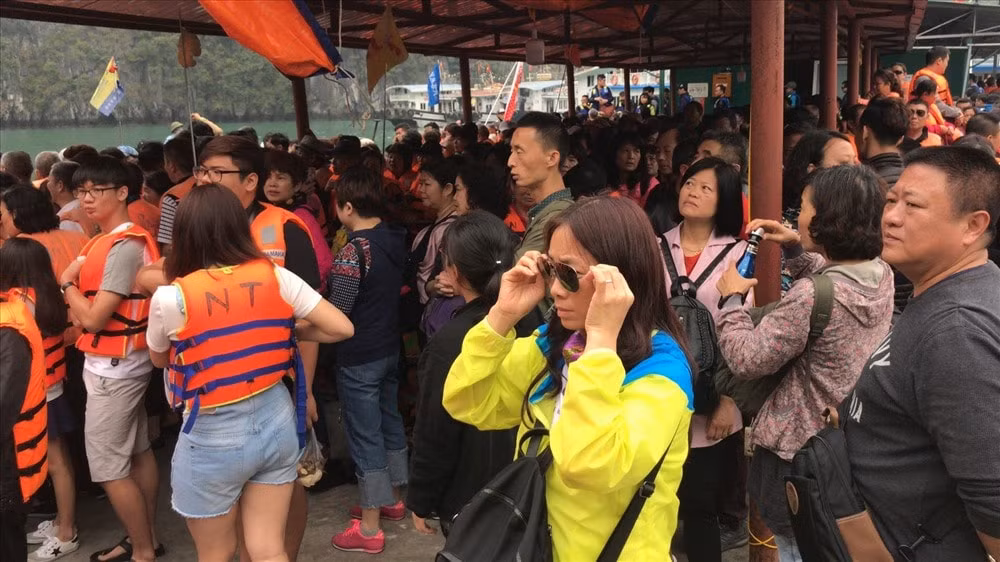 canh bao chieu tro lua dao tour du lich 0 dong hinh 1