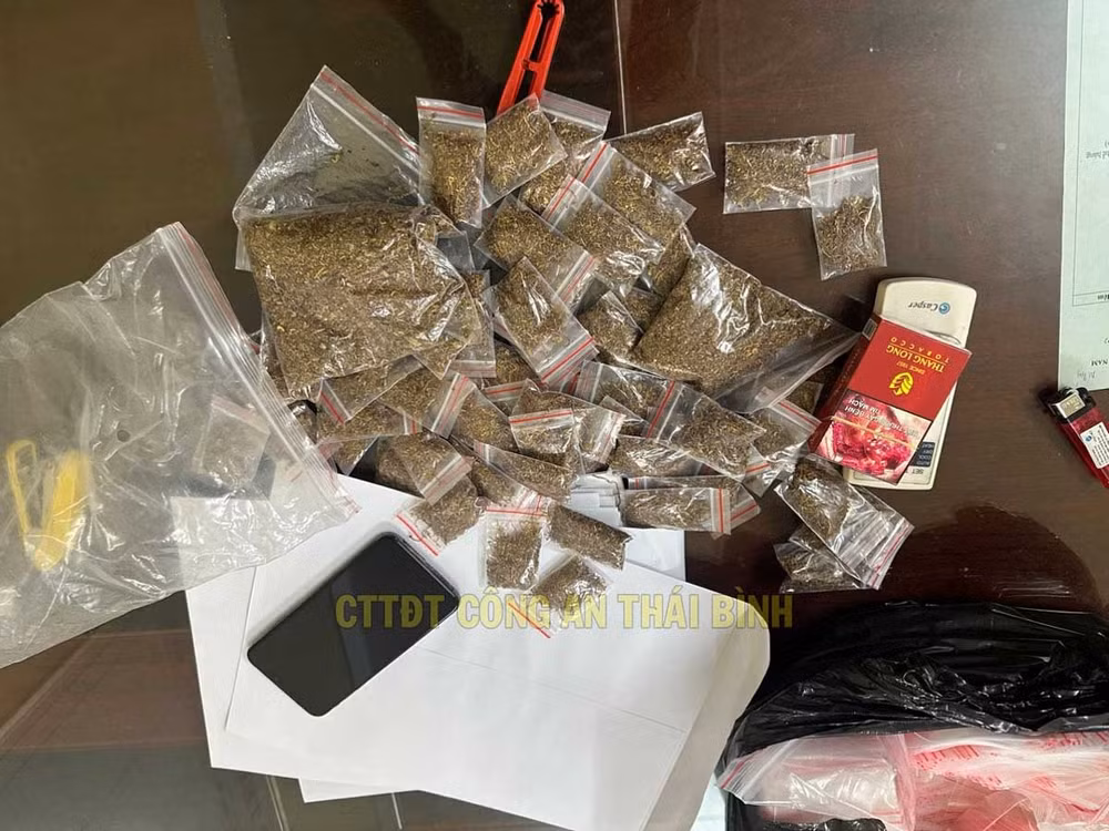 khoi to vu an mua ban trai phep ma tuy dang thuc vat o thai binh hinh 1