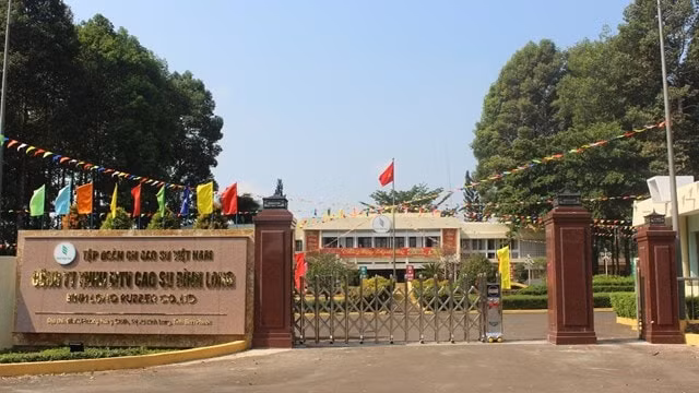 kcn cao su binh long mh3 dat muc tieu kinh doanh di lui hinh 1