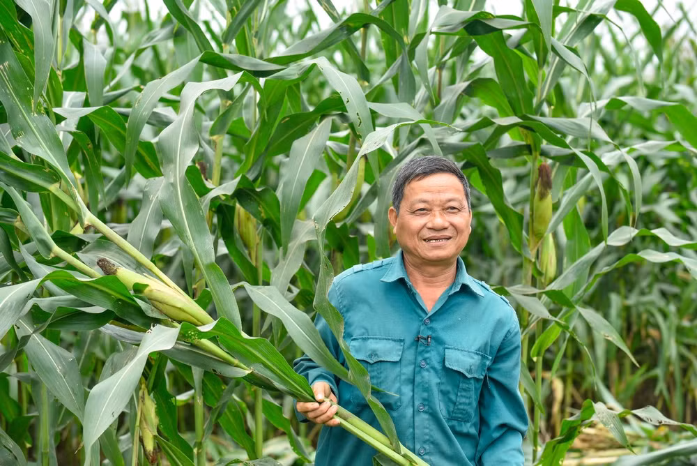 he sinh thai net zero vuot ra ngoai nhung trang trai xanh cua vinamilk hinh 5