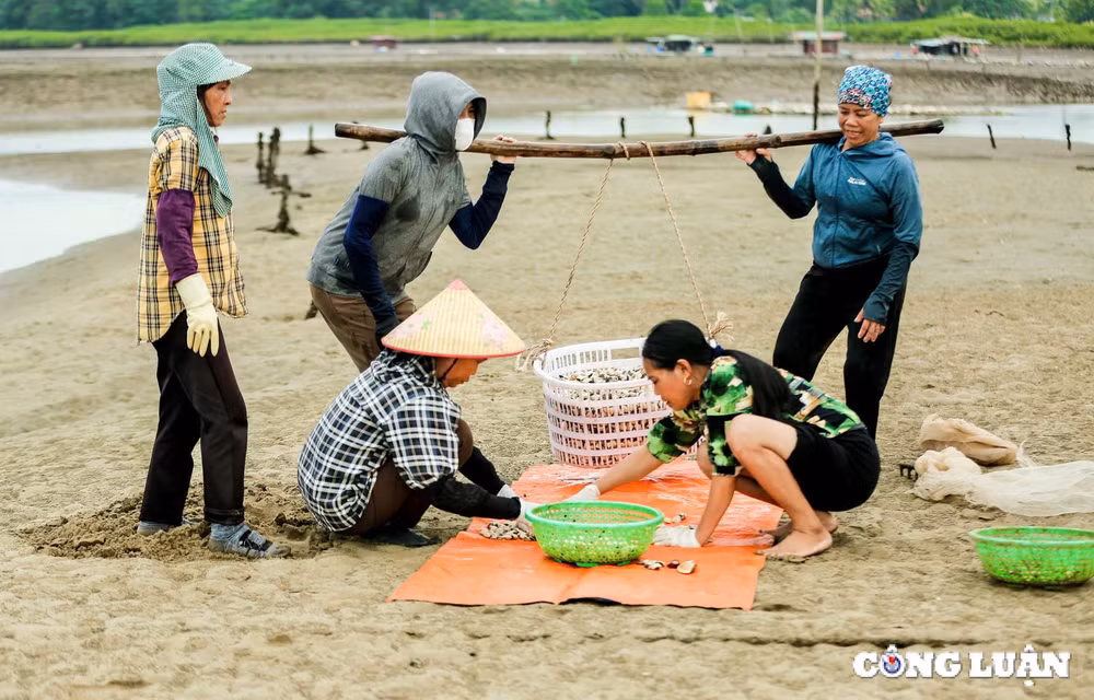 ve lach bang xem nguoi dan cao ngao kiem tien trieu moi ngay hinh 2