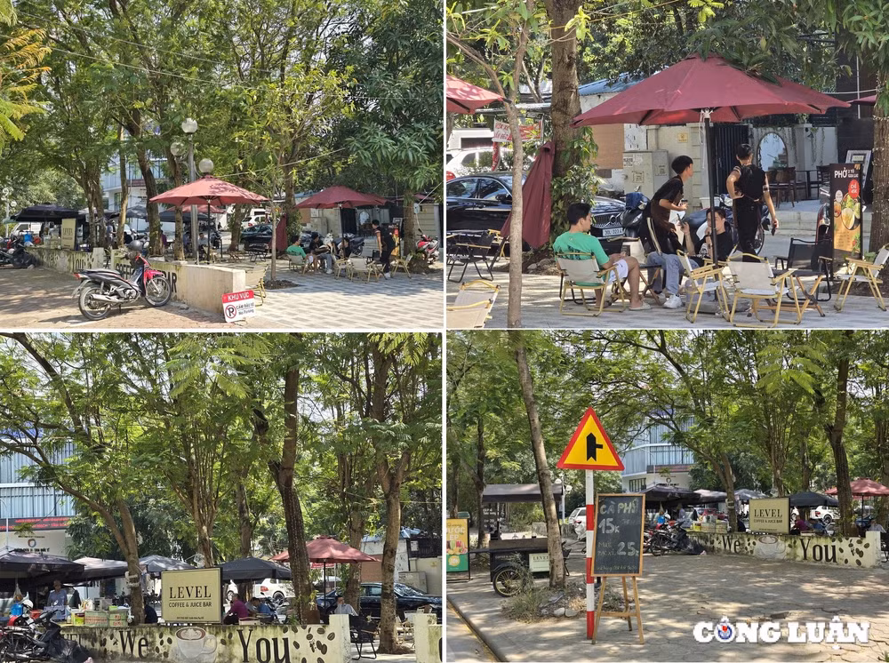 dat cay xanh va via he bi lan chiem de lam hang quan lam xau bo mat quan trung tam ha noi hinh 6