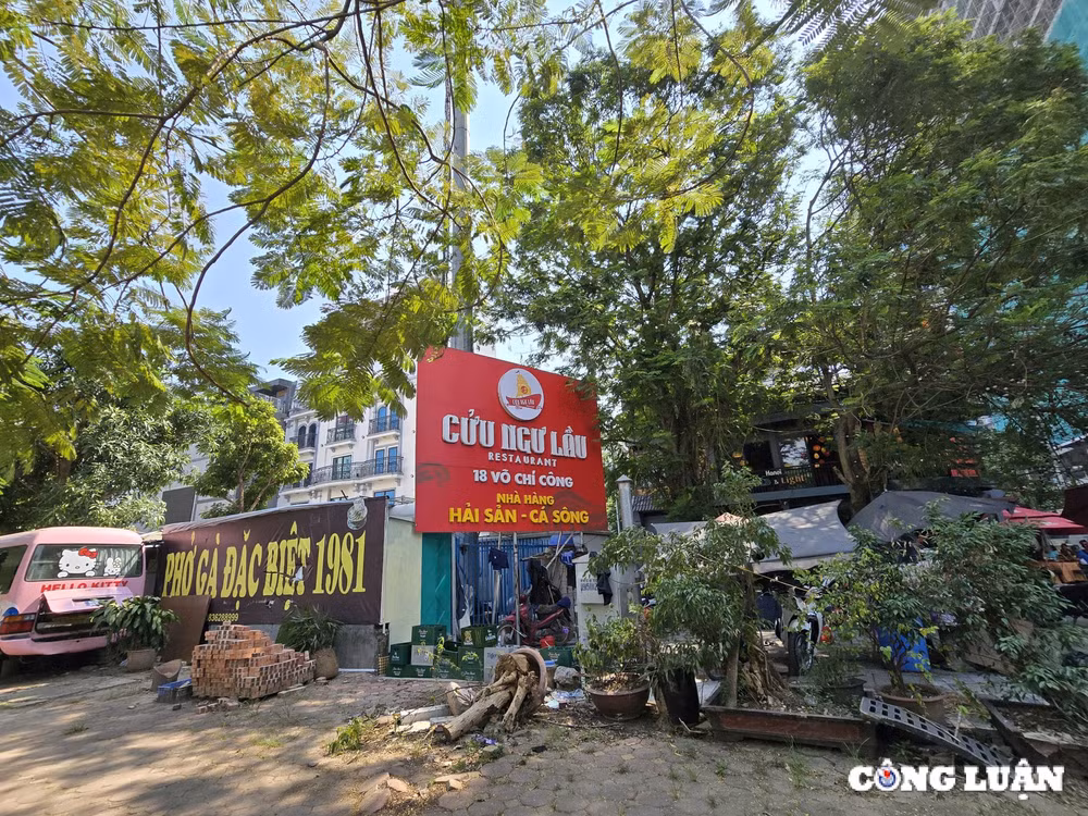 dat cay xanh va via he bi lan chiem de lam hang quan lam xau bo mat quan trung tam ha noi hinh 2