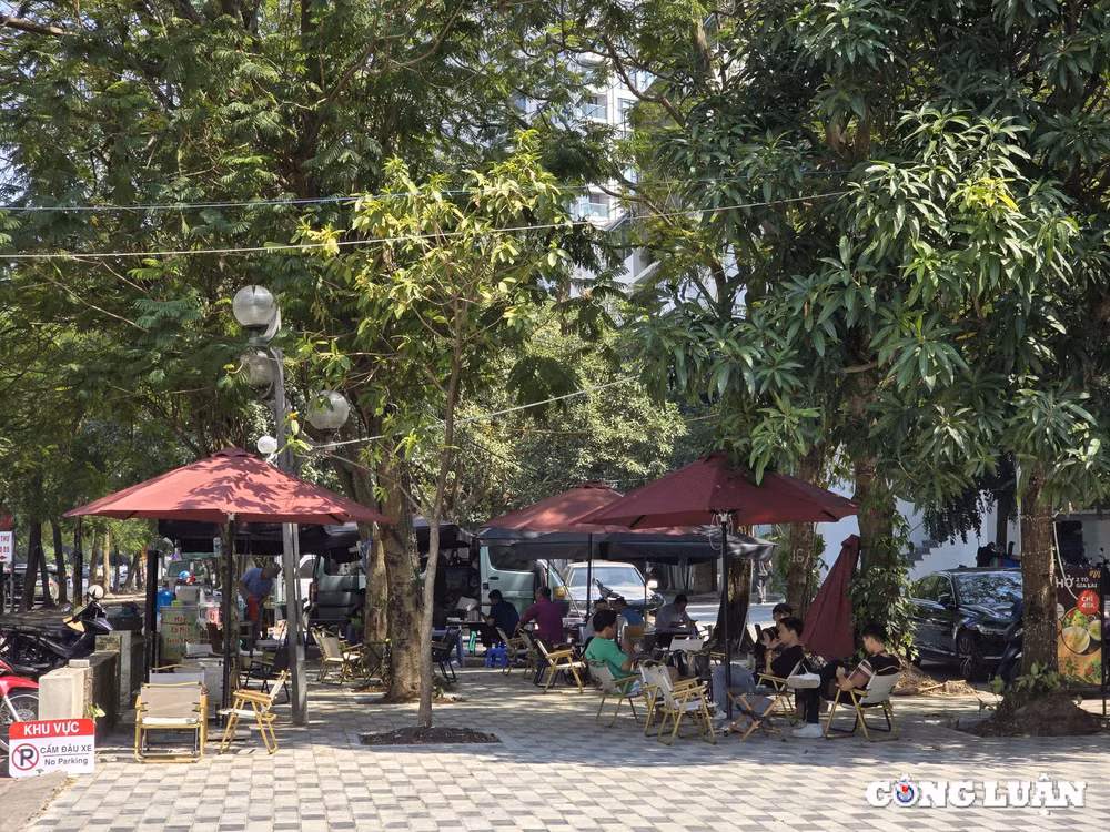 dat cay xanh va via he bi lan chiem de lam hang quan lam xau bo mat quan trung tam ha noi hinh 5