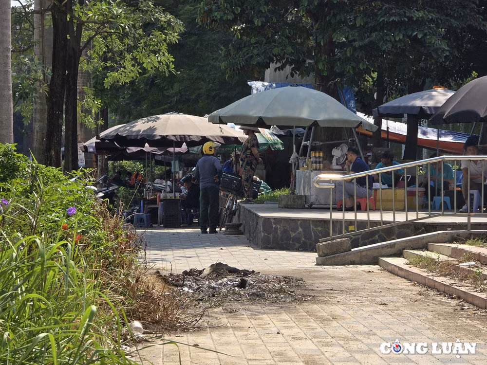 dat cay xanh va via he bi lan chiem de lam hang quan lam xau bo mat quan trung tam ha noi hinh 12