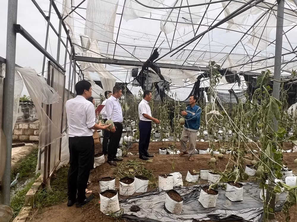 agribank uu dai lai vay doi voi khach hang bi thiet hai do bao so 3 va lu lut sau bao hinh 2