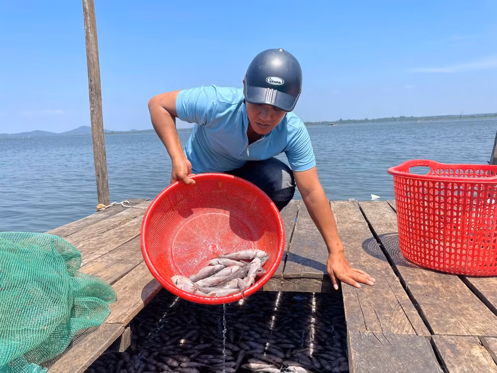 gia lai ca lang giong cua nguoi dan chet trang tren long ho thuy loi ia mor hinh 2