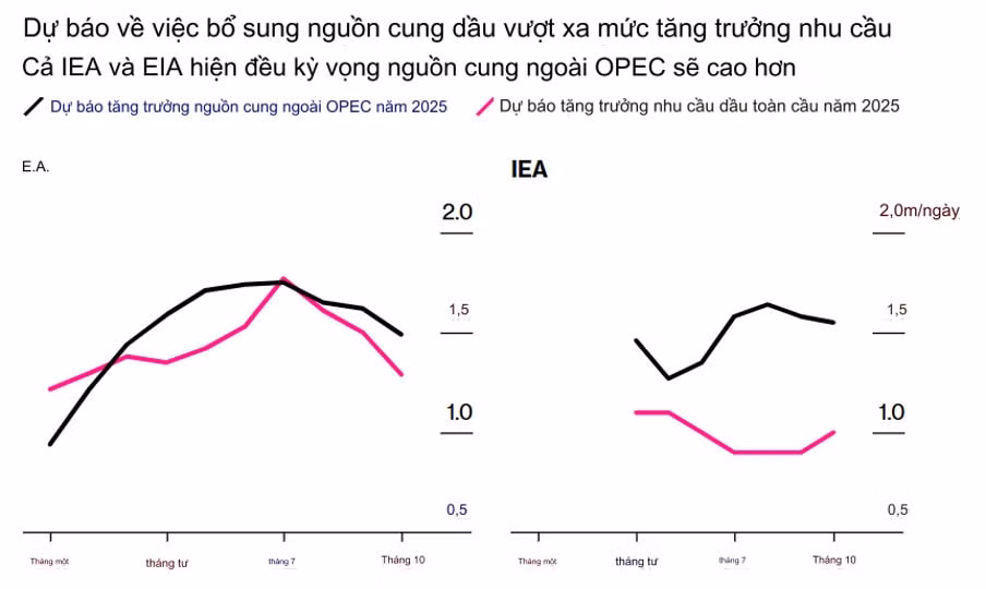 tai sao cac nha giao dich dau mo tro nen bi quan ve nam 2025 hinh 1