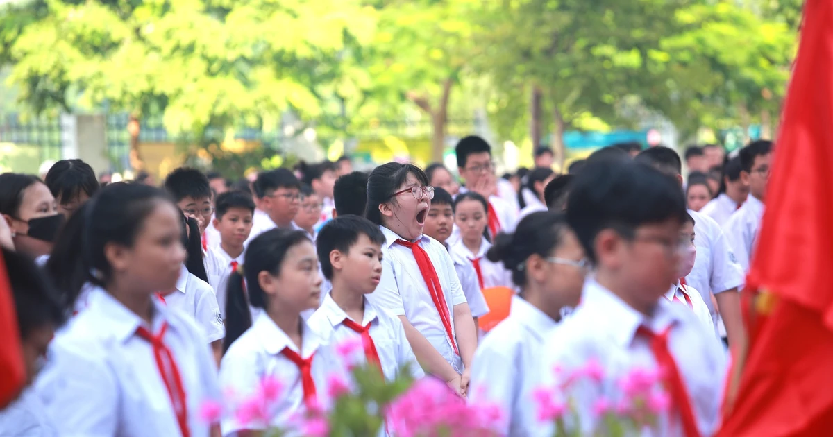 congluan.vn