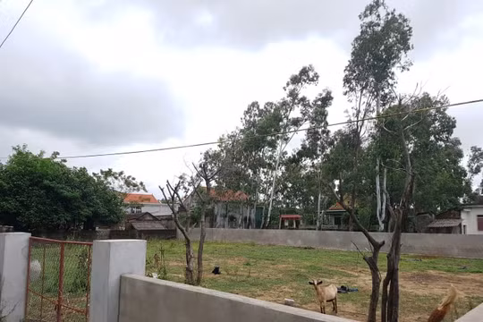 Gia hạn thời gian giải quyết đơn thư của người dân