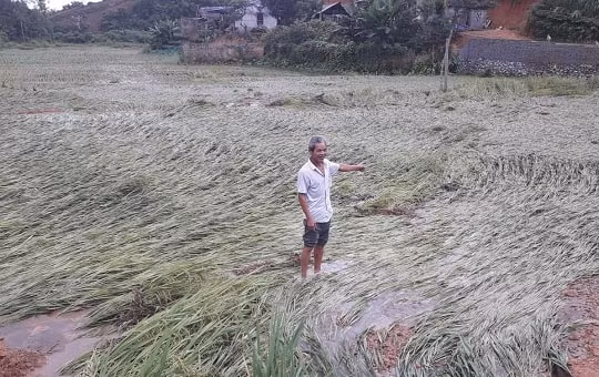 Thái Nguyên: Cần kiên quyết xử lý đơn vị khai mỏ vi phạm về bảo vệ môi trường