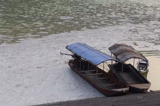 Nước hồ Vai Miếu đổi màu bất thường, bốc mùi hôi thối