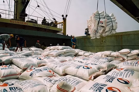 Gạo Việt Nam “rộng cửa” vào thị trường Philippines
