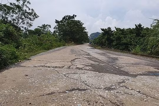 Ninh Bình: Tuyến đê hữu Hoàng Long vừa đưa vào sử dụng đã nứt toác!