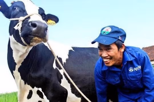 Tin đồn trên mạng xã hội: Biến tướng của truyền thông bất lương?