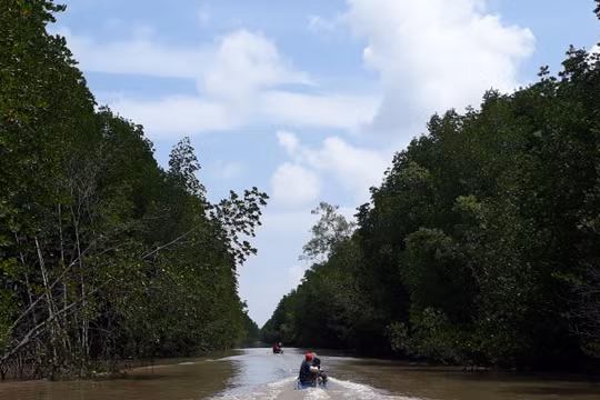 Cà Mau: Khởi tố vụ án tham ô tại Vườn Quốc gia Mũi Cà Mau