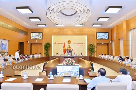 Ủy ban Thường vụ Quốc hội phê chuẩn, điều động nhân sự