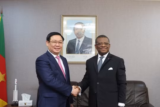 Cameroon mong muốn hợp tác toàn diện với Việt Nam