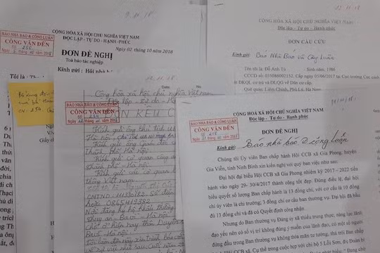 Đề nghị làm rõ những tố cáo sai phạm tại Công ty Điện lực Bình Định