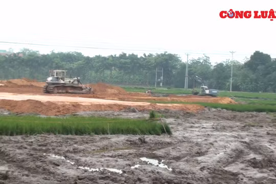 Cần làm rõ việc Công ty CP Đầu tư BĐS Toàn Cầu phá lúa non, thi công trên diện tích chưa được đền bù