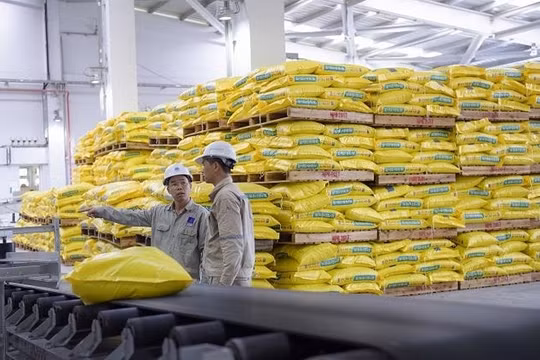Đạm Phú Mỹ tiết giảm mạnh chi phí trong quý I/2019