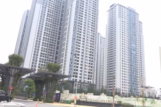 Hà Nội: Chủ đầu tư Goldmark City 136 Hồ Tùng Mậu lừa dối khách hàng?