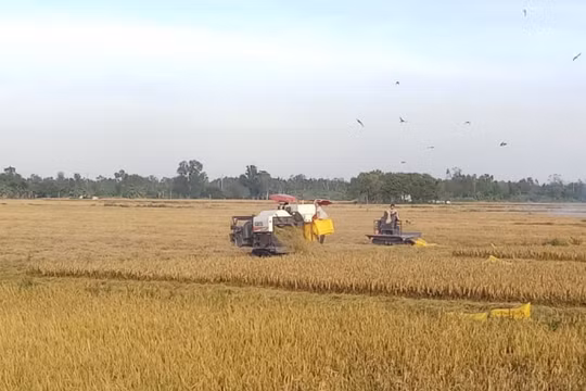 Nông nghiệp vẫn là mũi nhọn và động lực phát triển!