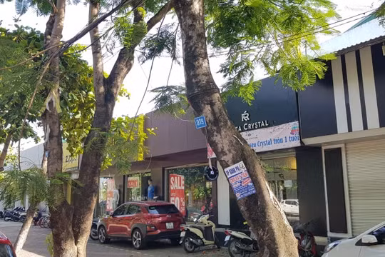Chính quyền "bất lực" hay có lợi ích nhóm?