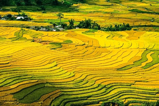 Mù Cang Chải của Việt Nam lọt vào top "Những địa điểm sắc màu nhất trên thế giới"