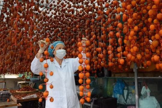 Đà Lạt: 100 cơ sở sản xuất đặc sản được cấp mã số mã vạch