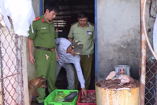 Hậu Giang: Phát hiện gần 1,5 tấn thịt lợn bốc mùi hôi thối