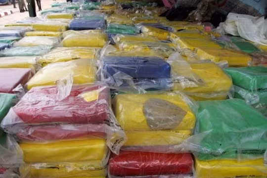 Senegal thu giữ gần 1 tấn cocain trên tàu chở hàng