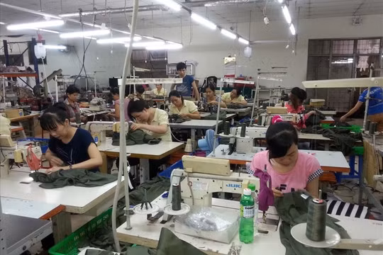 Nâng tuổi nghỉ hưu và tinh giản biên chế - một nghịch lý cần lời giải