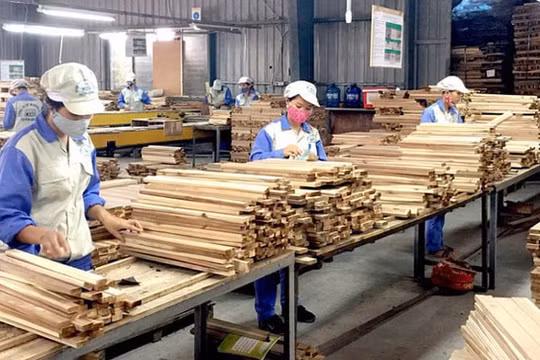 Nguy cơ từ kim ngạch xuất khẩu gỗ Việt vào Mỹ tăng đột biến