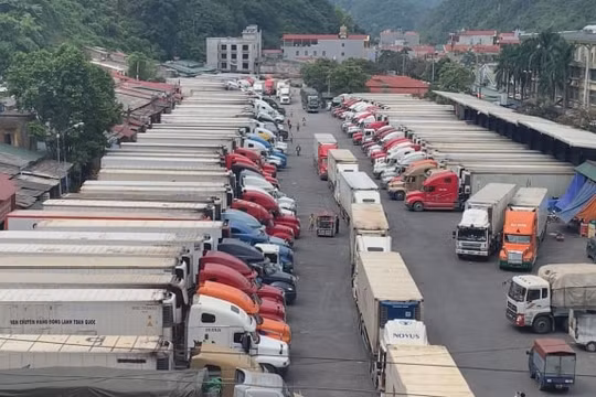 Cần thay đổi tư duy về nông nghiệp